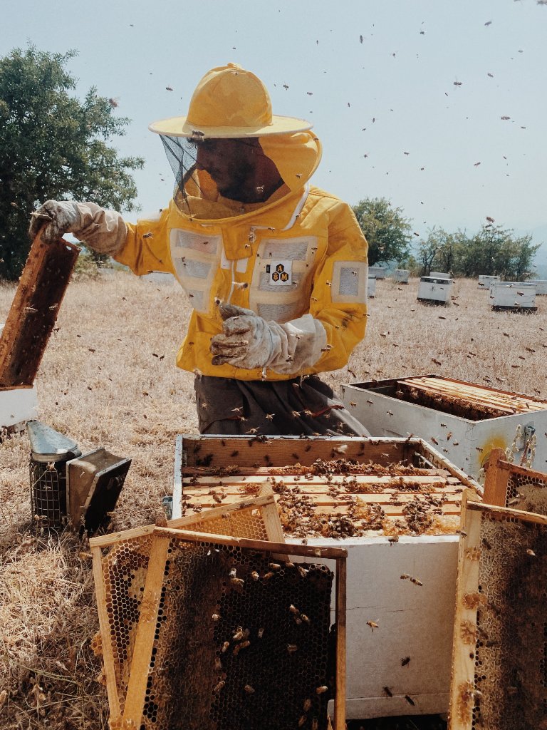 Careful Harvesting