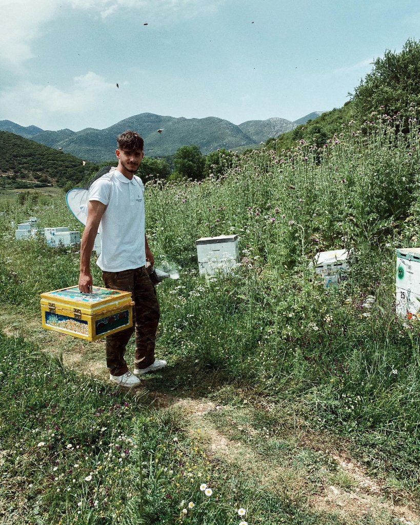 Hive placement — second location