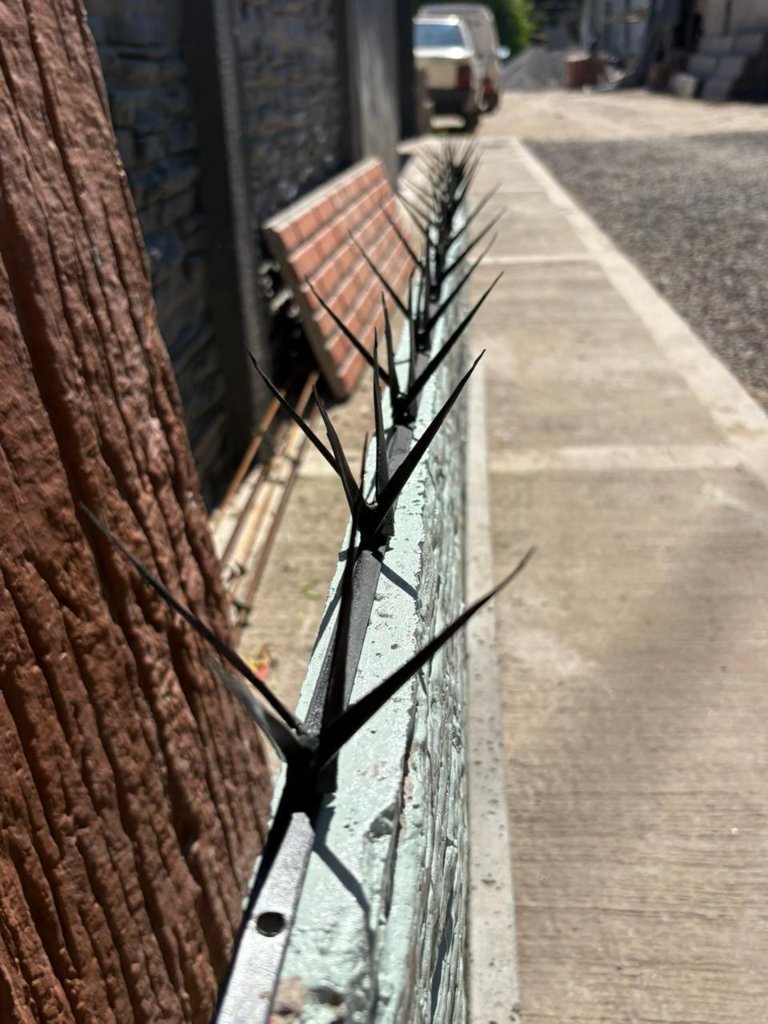 Cerco con pinches de seguridad
