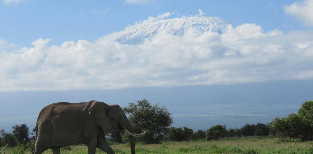 Amboseli