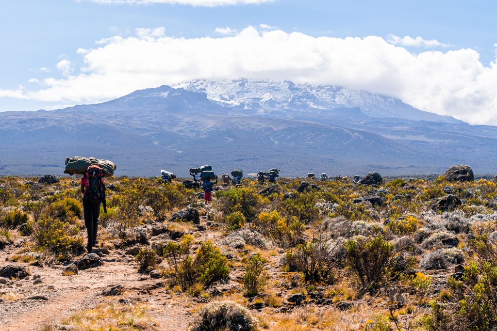 Kilimanjaro Lemosho Route