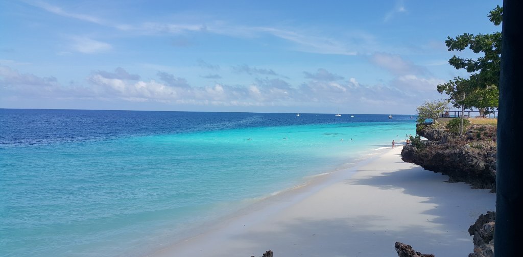 Zanzibar in Blue