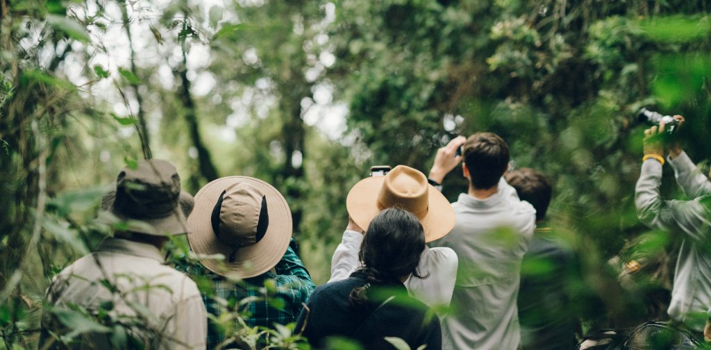 Kibale Forest