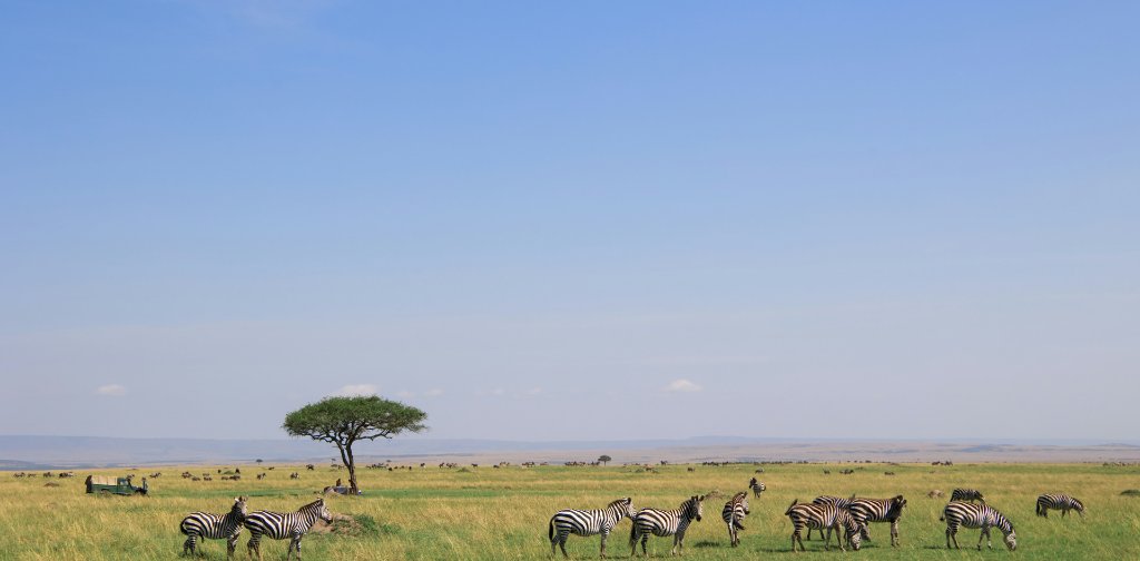 Kilimanjaro to Zanzibar