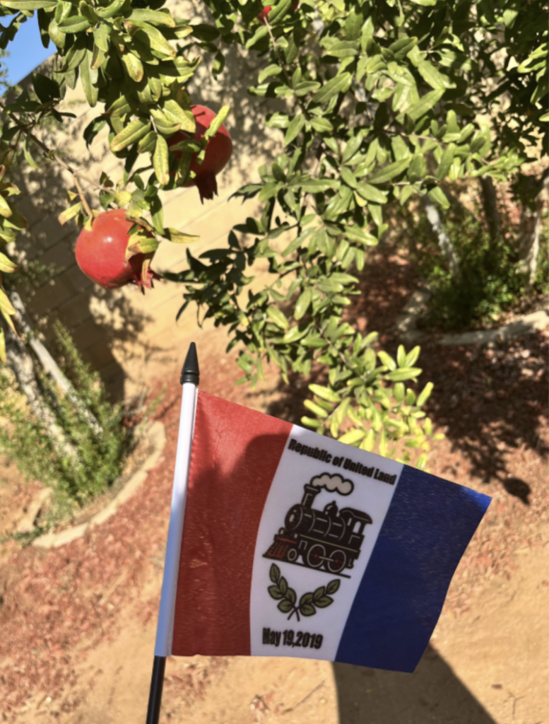 United Land Flag in Desert Forest National Park