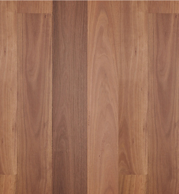 Grey Ironbark