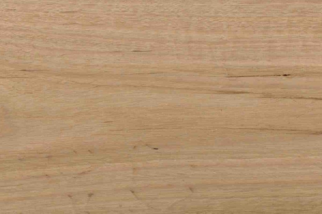 Alpine Ash