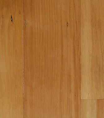 Kauri Pine