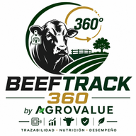 BEEFTRACK 360 logo