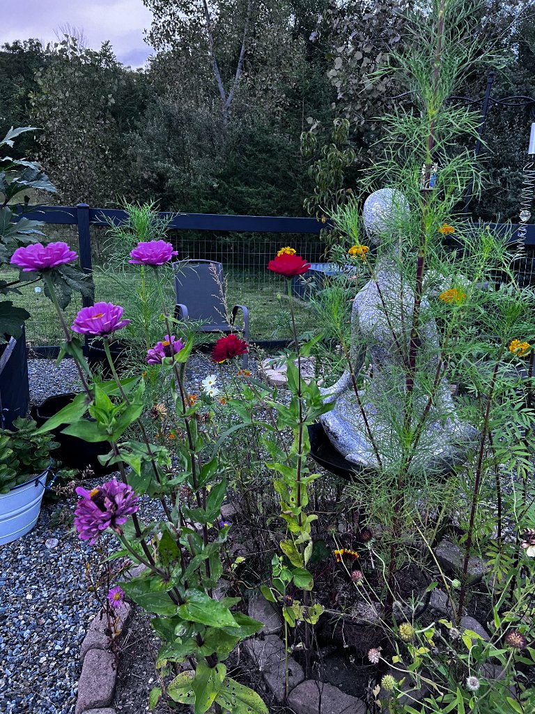 Garden lantern at dusk