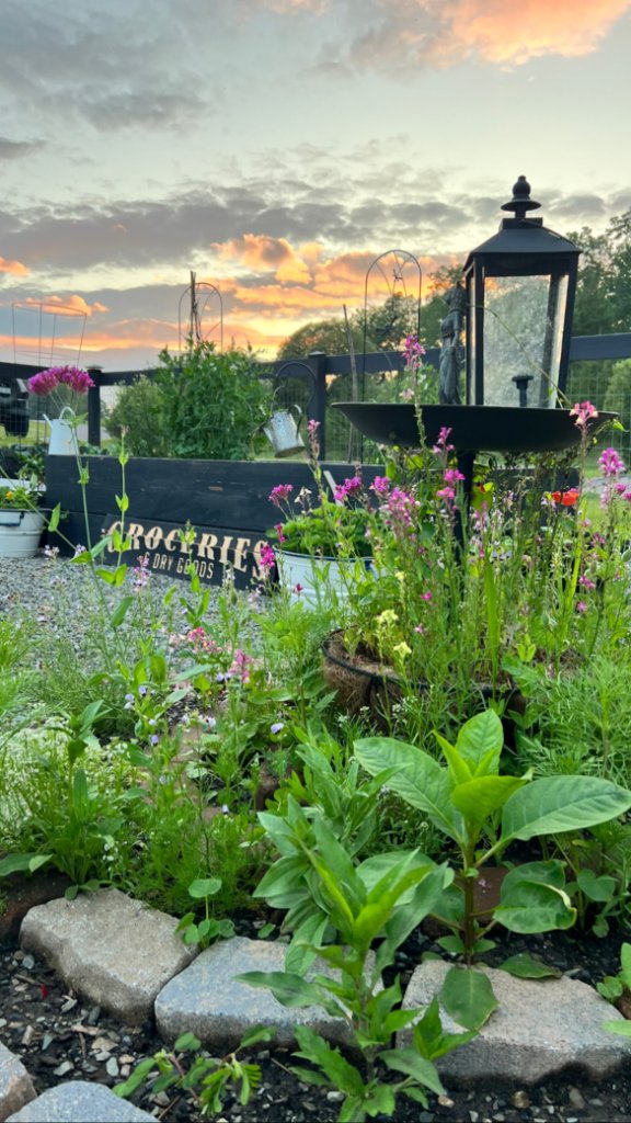 Garden at sunset with Groceries sign