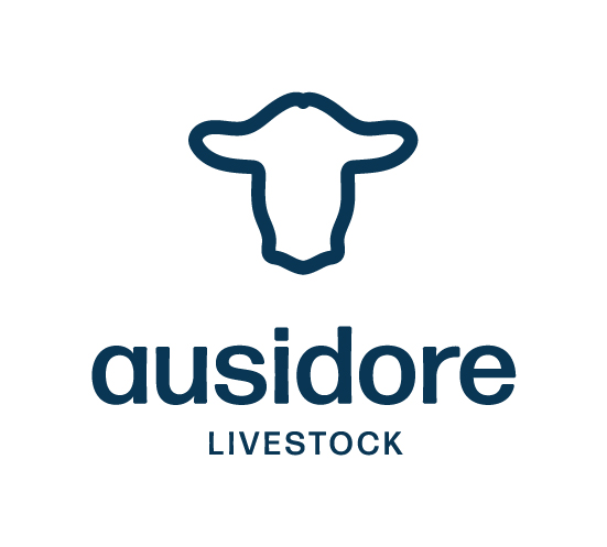 Ausidore Live logo