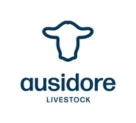 Ausidore Live logo