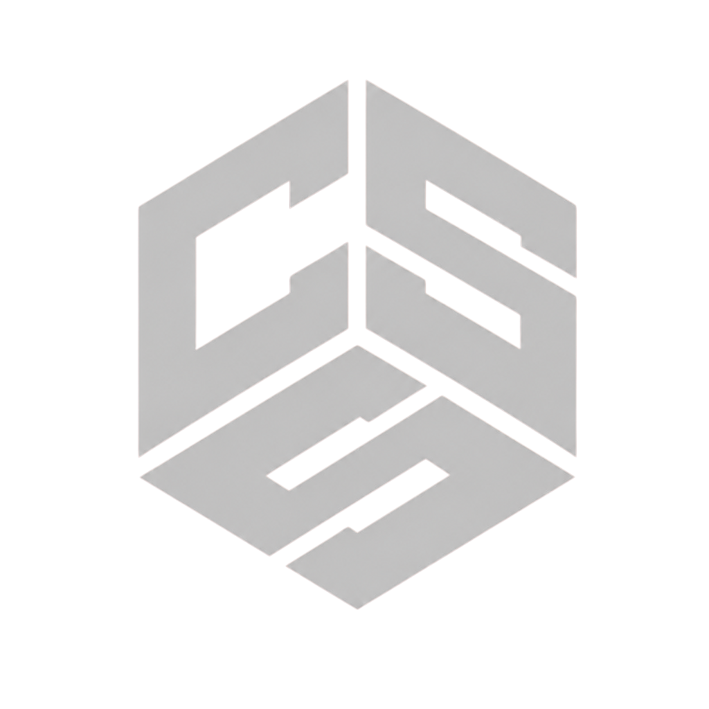 CSS Logo