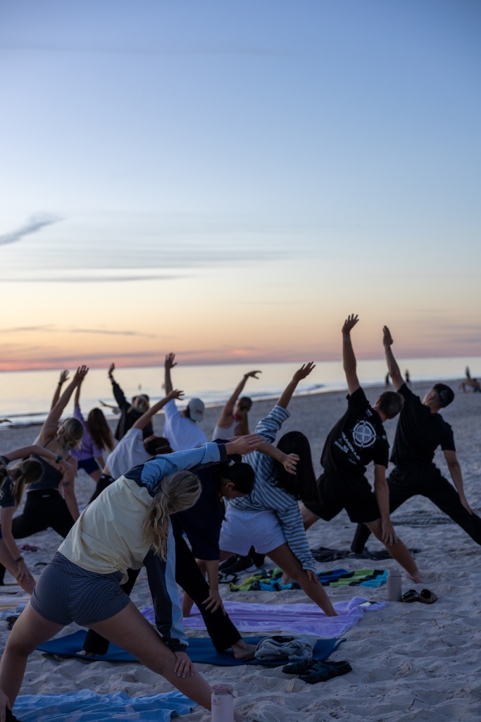 Dusk Dips x Yochi