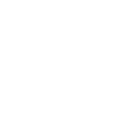 Vault Tag