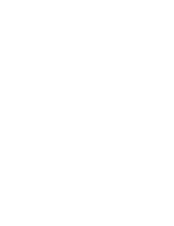 STRANE icon