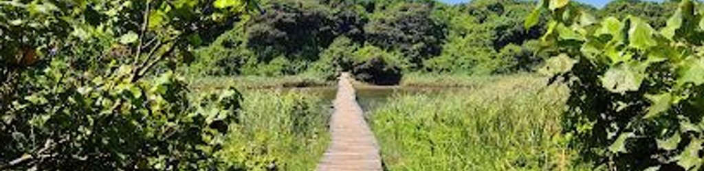 Coaching & Therapy Journeys