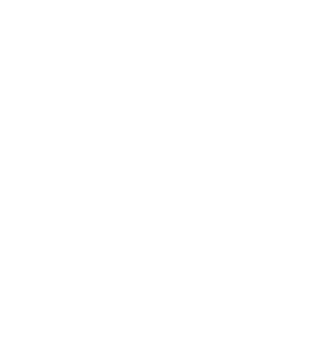 Revinylise