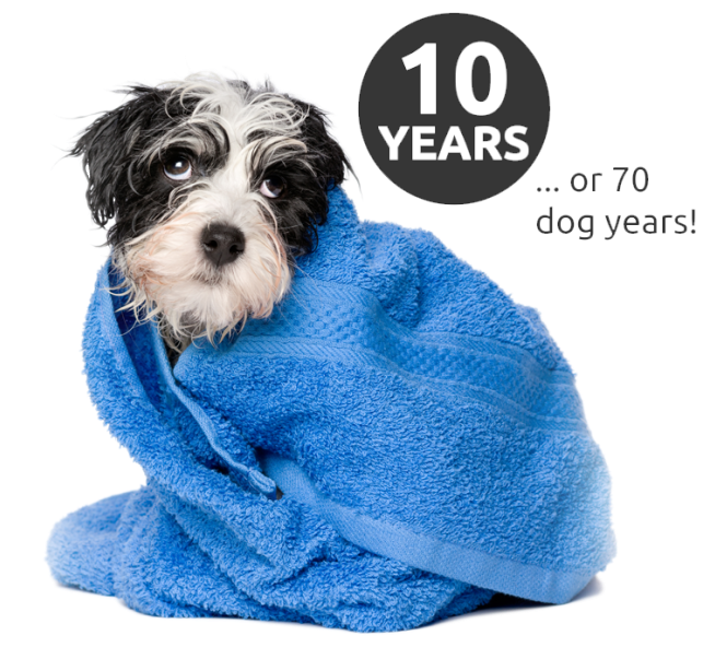 10 Year Warranty