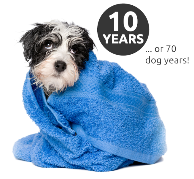 10 Year Warranty