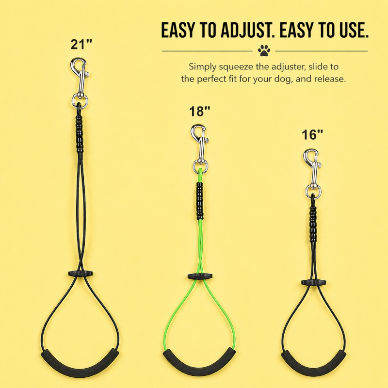 Bathing and Grooming Nooses