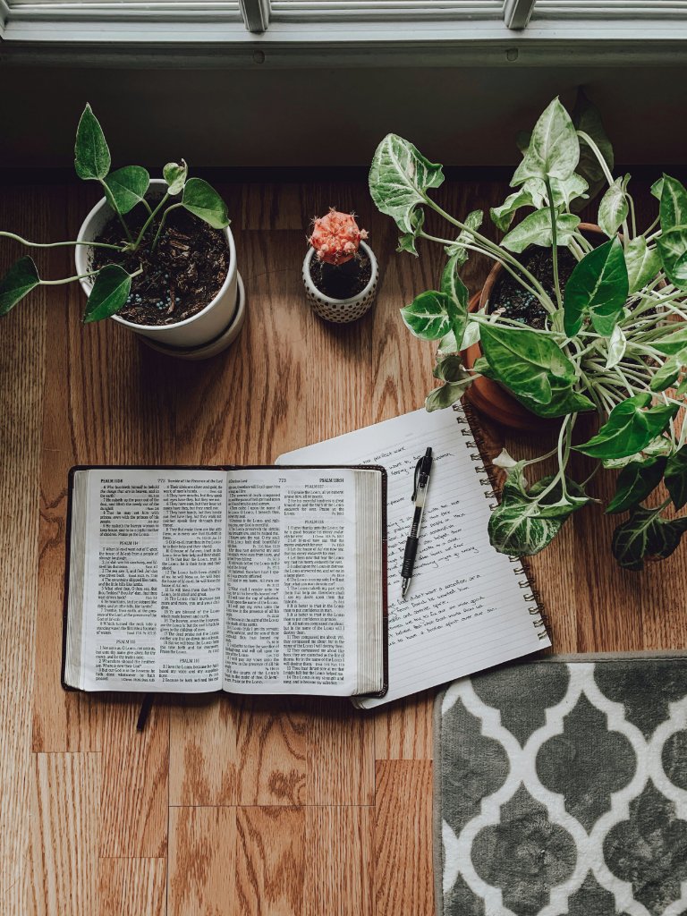 We Focus on the Bible