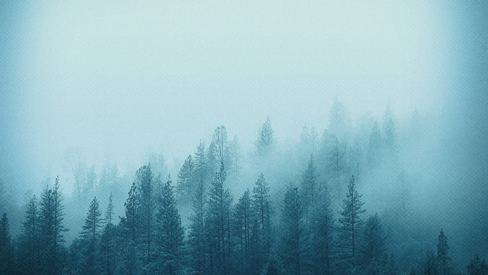 Discipleship Resources