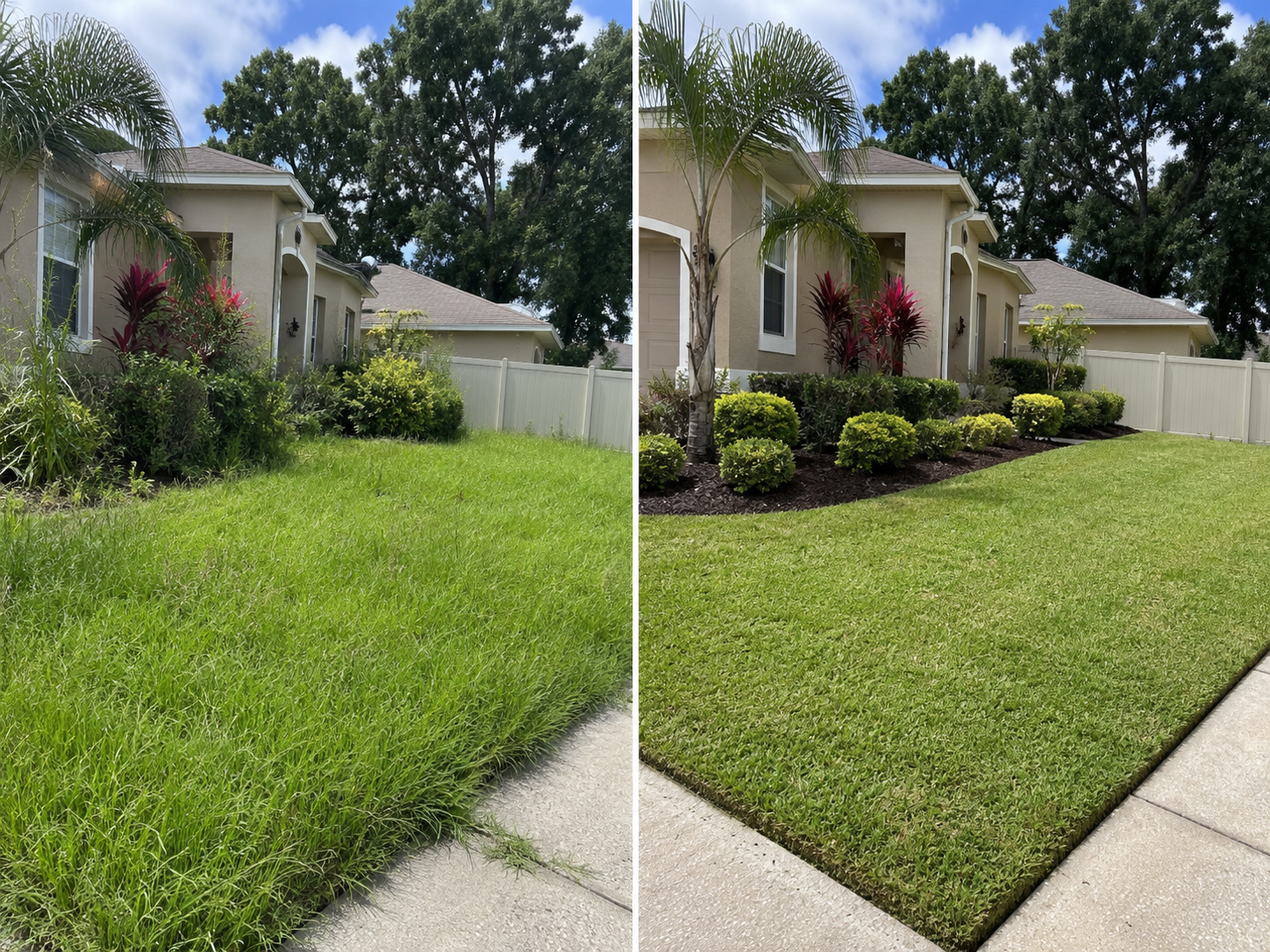 Property Cleanup — Before & After