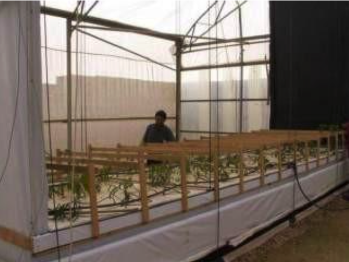 Aeroponic cultivation facility