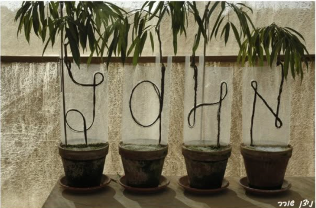Year 1: Flexible seedling threaded onto a clear plexiglass letter template