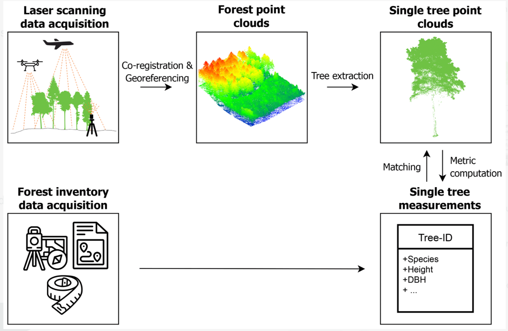 LiDAR data acquisition and forest point cloud processing workflow