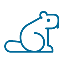 Beavers icon