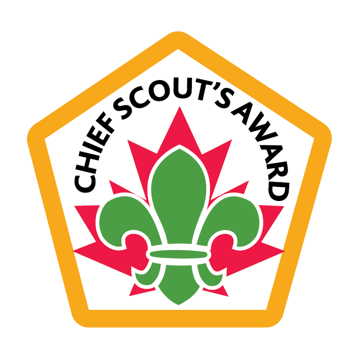 Chief Scout Award