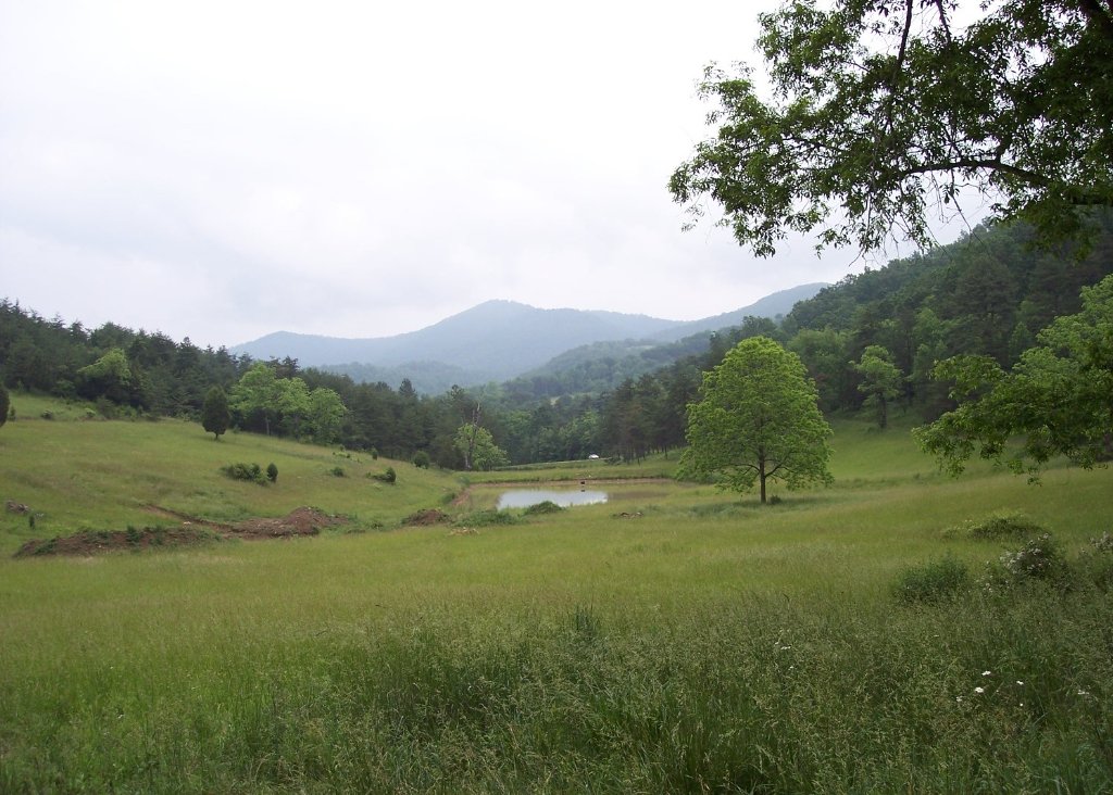 Hinchman Farm Gravesite View, 2005