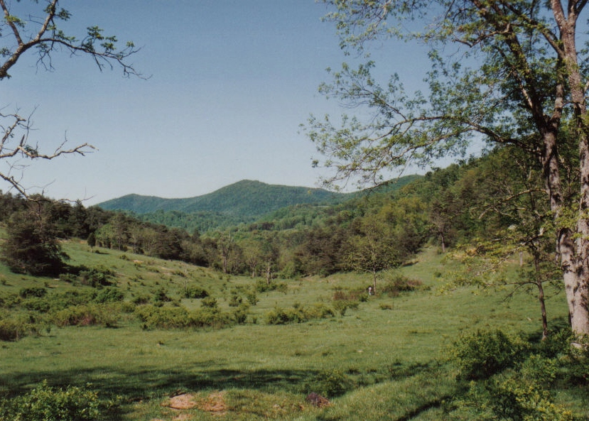Hinchman Farm Gravesite View, 1993