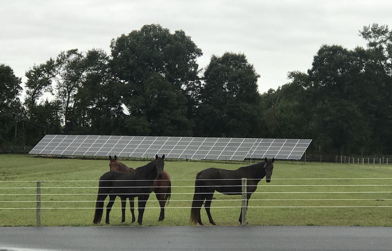 Ground-mounted solar array at a horse property.
