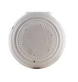 Smoke & Fire Detection