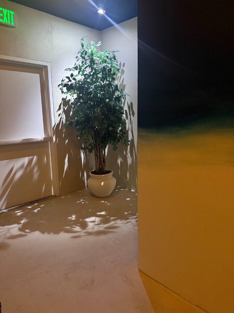 Bella Longevity Spa photo 17