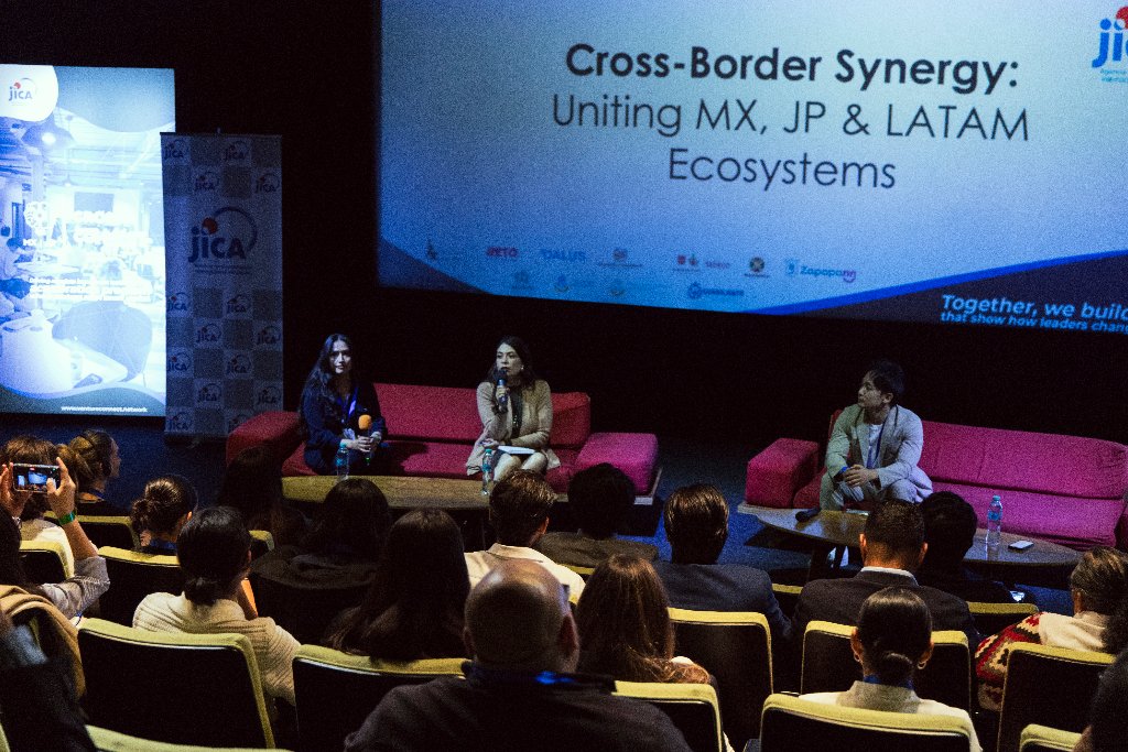 Cross-Border Synergy Panel