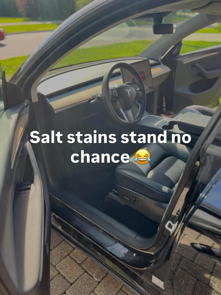 Tesla — Interior Detail
