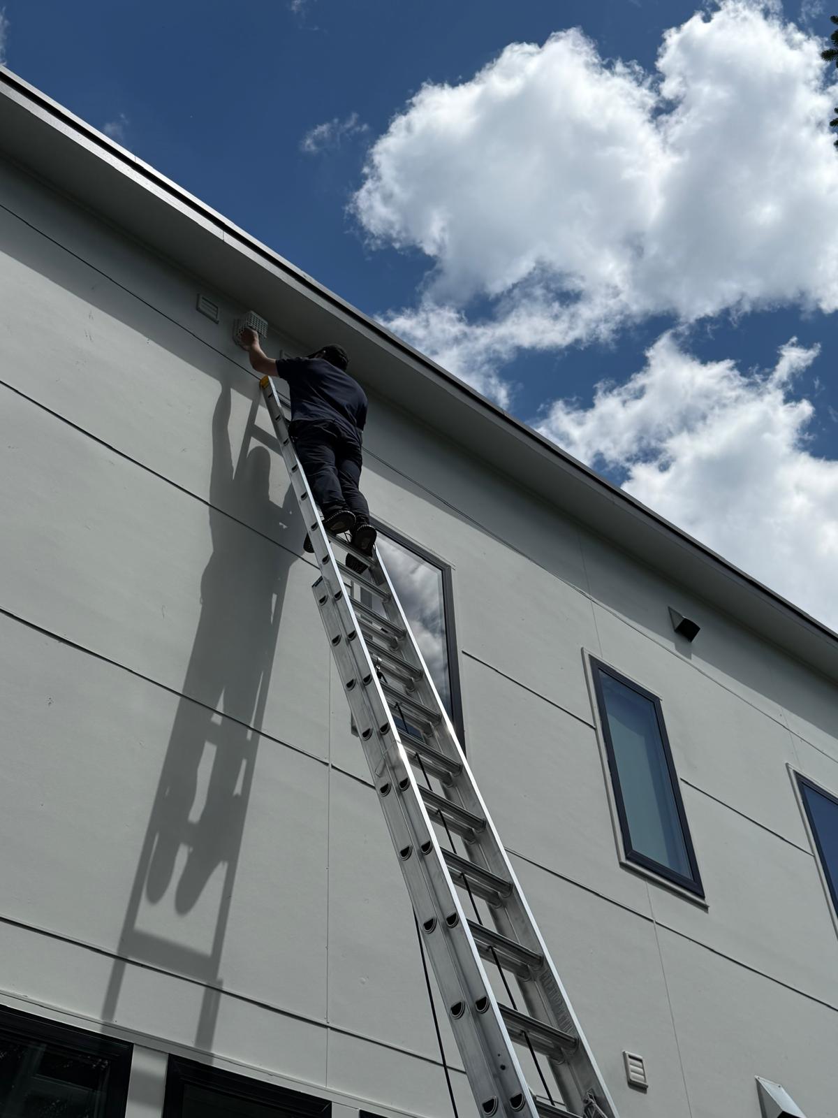 Bird removal technician climbing tall ladder to reach second-story vent — Alexandria, VA