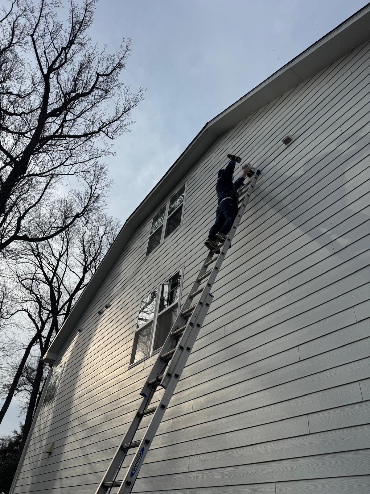 Bird nest removed from dryer vent — Nova Bird Removal Large bird nest removed from dryer vent held by gloved Nova technician — Northern Virginia home