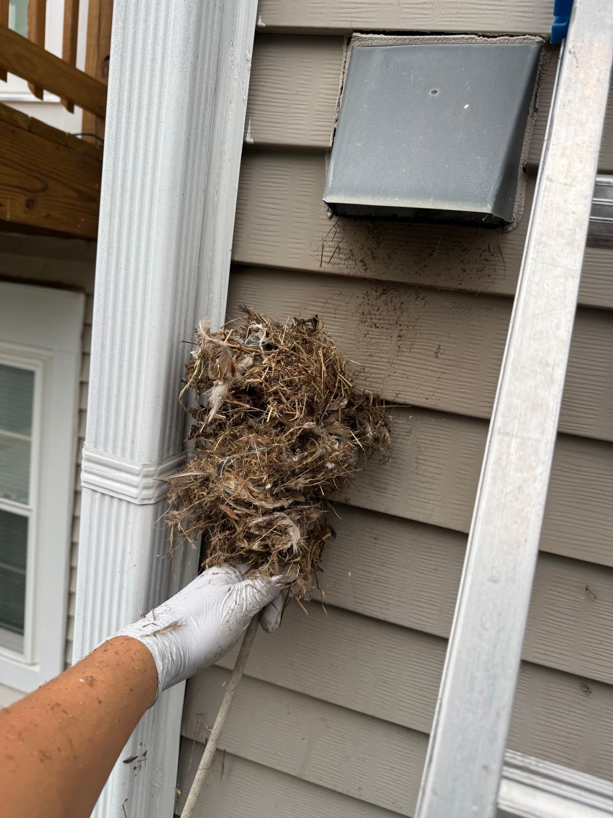 Nova Bird Removal technician installing bird vent guard on residential home with white vinyl siding