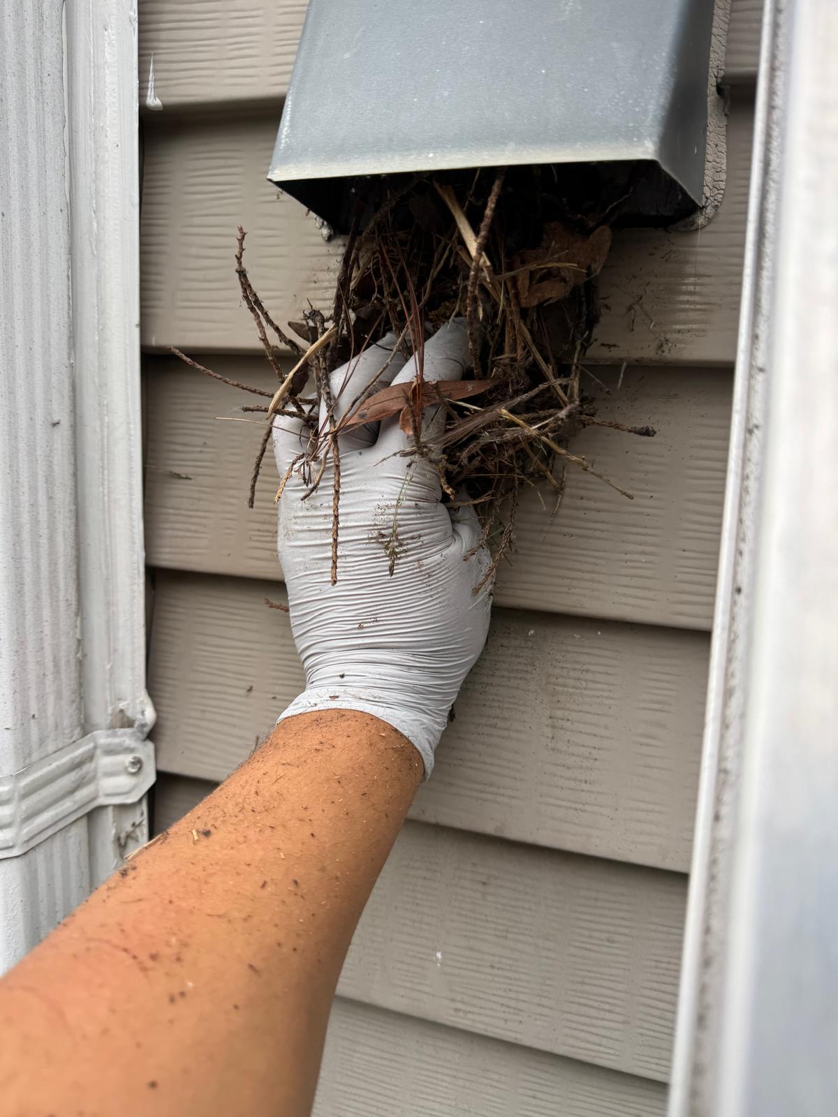 Bird Removal from Vents in Northern Virginia & DC Metro — Nova Bird Removal & Vent Cleaning, Northern Virginia