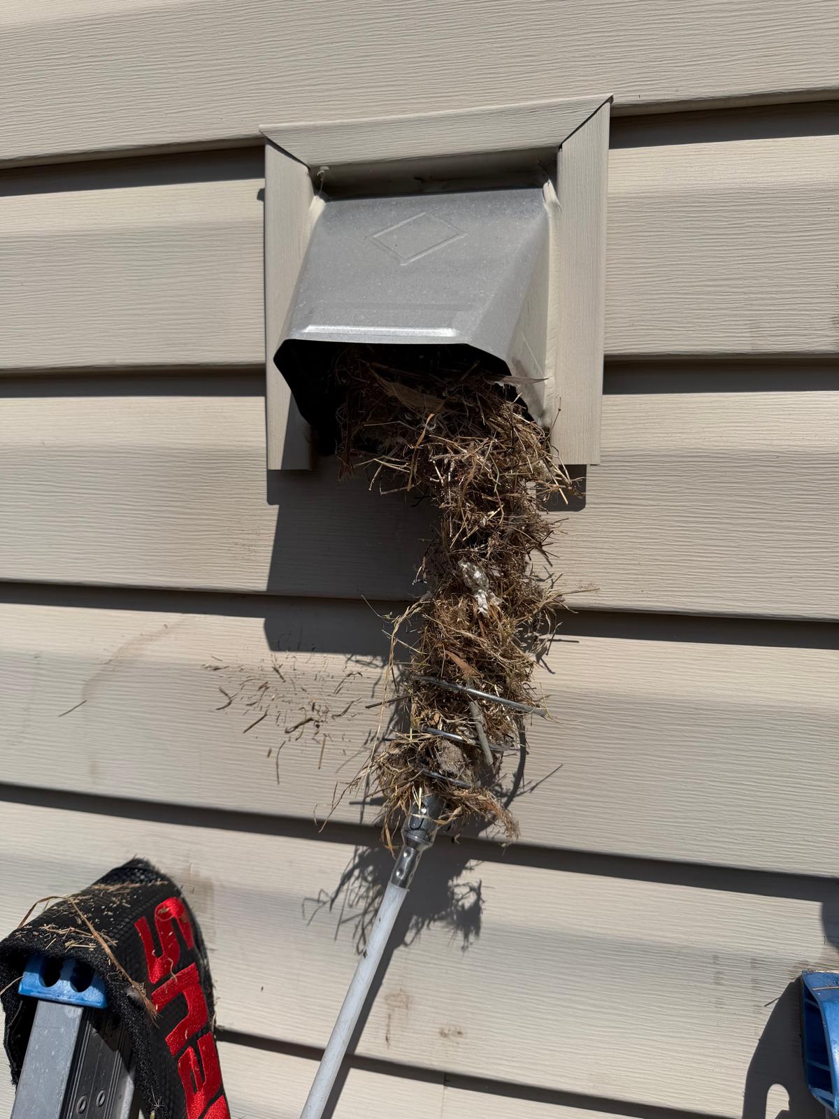 Bird nest removed from dryer vent — Nova Bird Removal & Vent Cleaning, Fairfax VA Bird removal technician installing bird guard on exterior vent in Northern Virginia home
