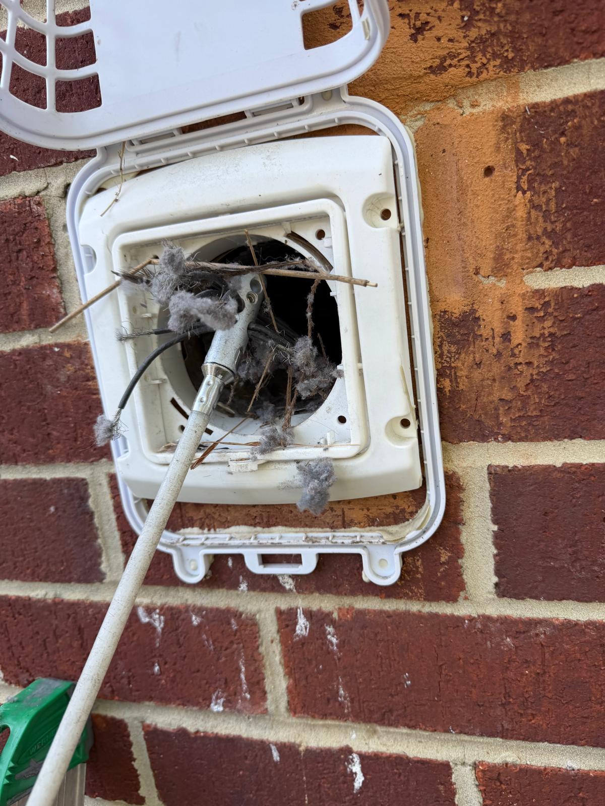 Professional rotary brush cleaning dryer vent on brick exterior — Nova Bird Removal, Alexandria, VA