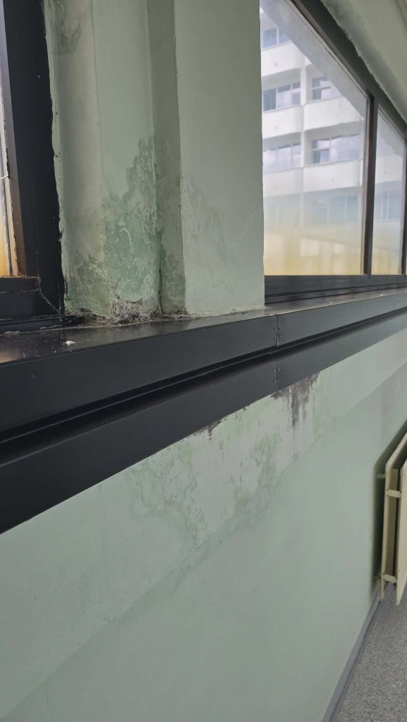 Schimmelbefallene Wand – Krankenhaus Tuzla