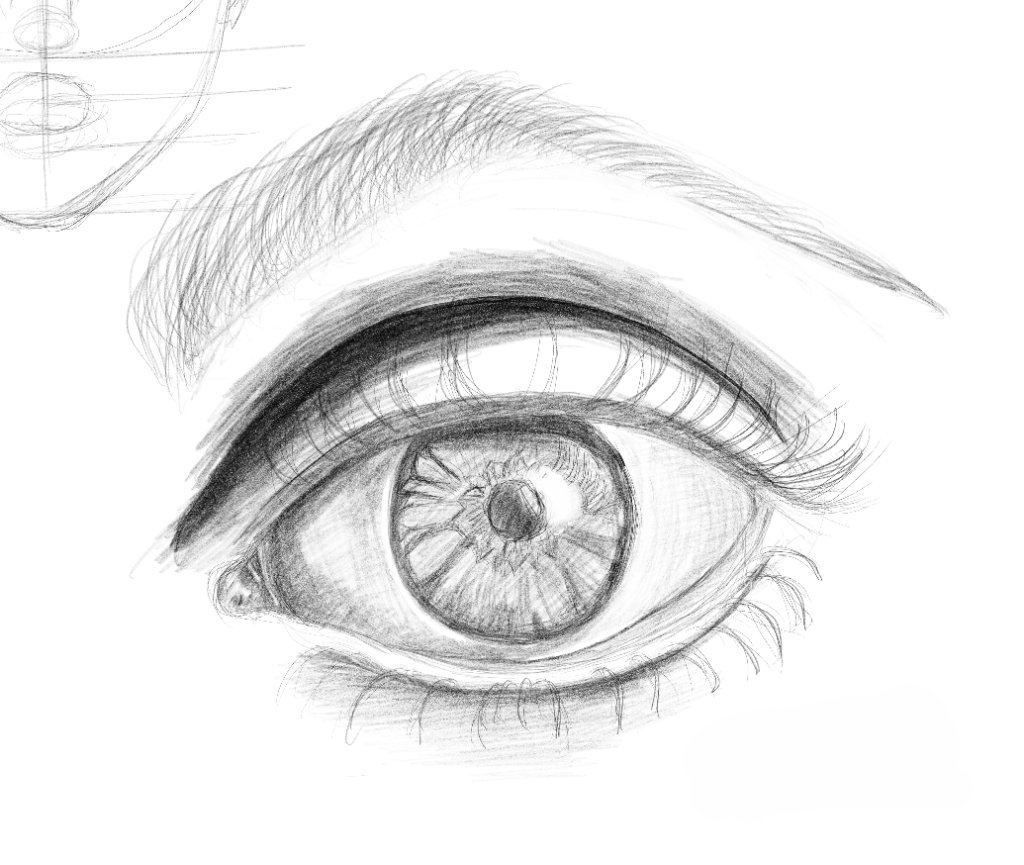 Graphite study