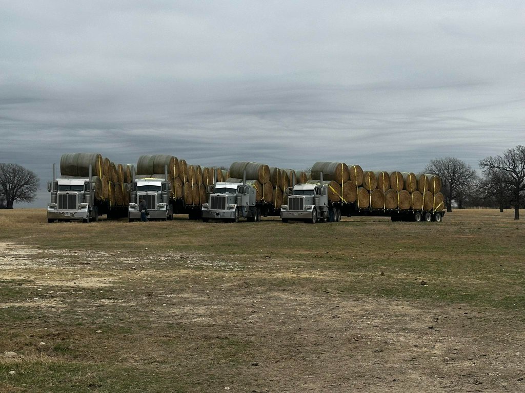 Four fully loaded tractor-trailers